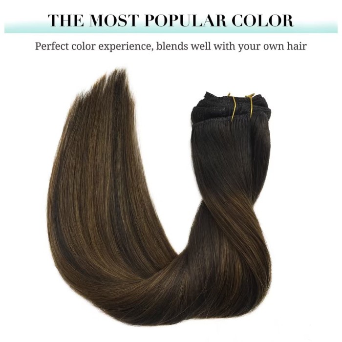 Chestnut Brown Clip in Hair Extensions Human Hair Extensions Chestnut Brown Clip in Hair Extensions Human Hair Extensions