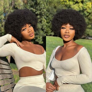 Retro & Vintage  Ultra Natural Afro Curl 13X2 Frontal Lace Short Wig 100% Human Hair Retro & Vintage  Ultra Natural Afro Curl 13X2 Frontal Lace Short Wig 100% Human Hair