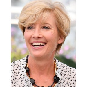 Short Boycut Blonde Human Hair Lace Front Wigs Short Boycut Blonde Human Hair Lace Front Wigs