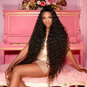 Lytinroop Long Hair Wigs Deep Wave Pre Plucked Lace Front Wigs